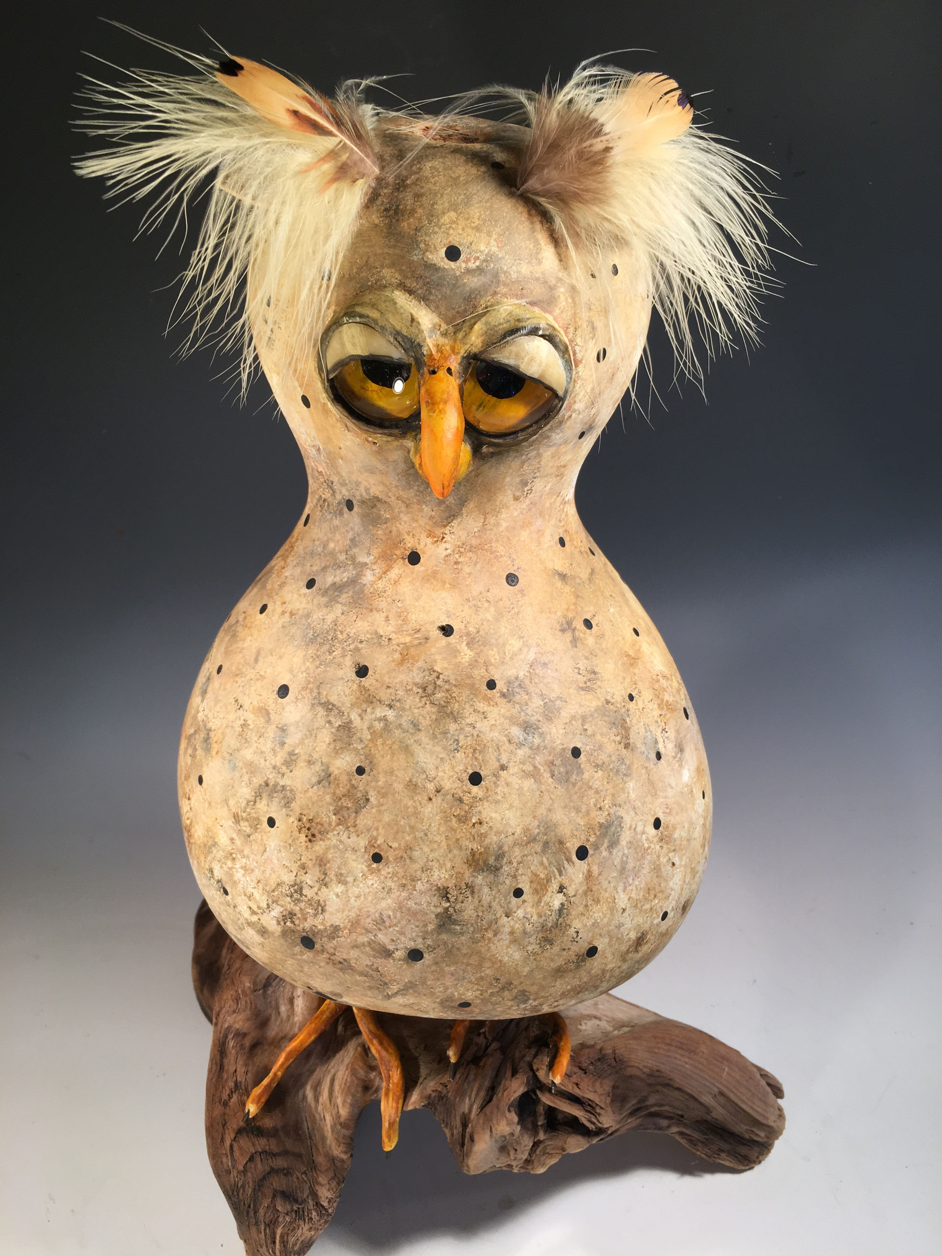 Hoot owl.