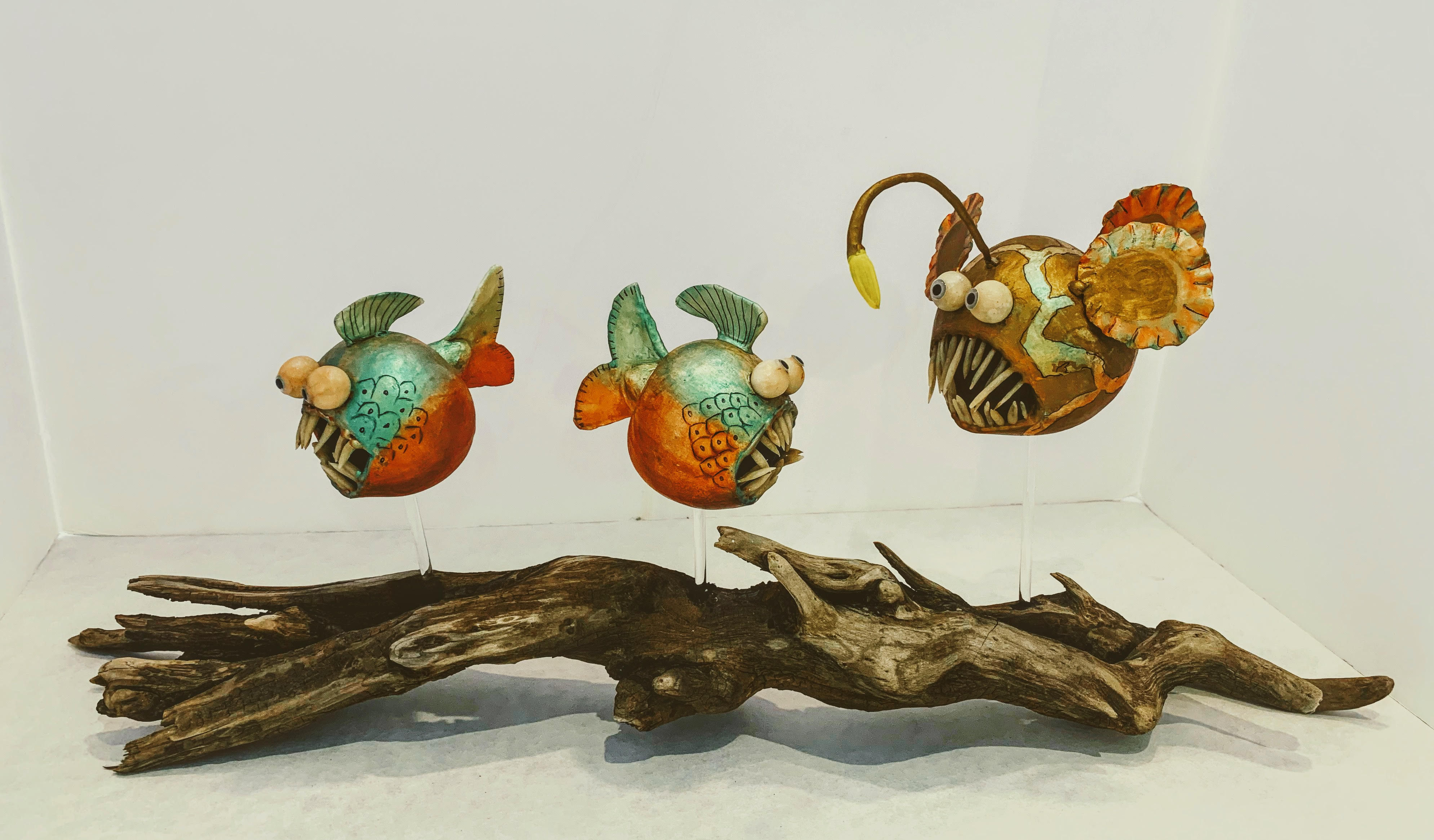 piranha's on the run