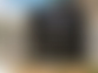 stelcor-ambergris-caye-distribution