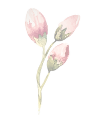 Rose Buds_edited_edited.png