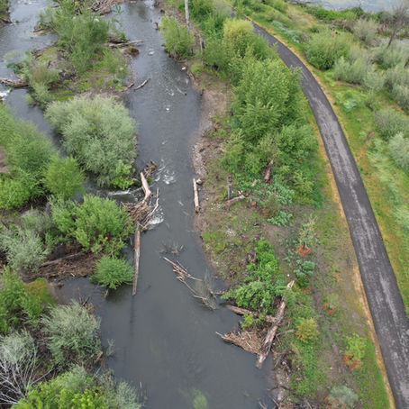 Transforming Bear Creek