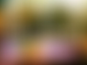 Rise Again returns to TF Browns November 12th!