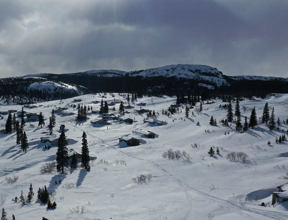 DJI_0069-copy-1520x1162.jpg