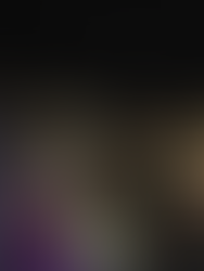 The Levyne Group Hosts Private Investor Summit in Westminster London