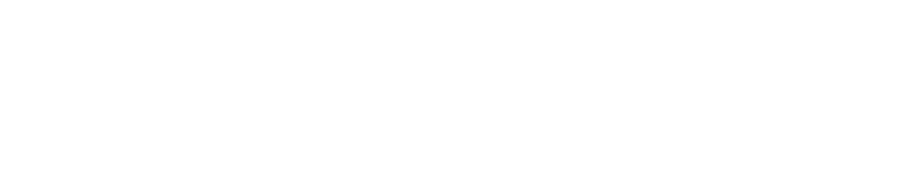 Levyne Group White Logo.png