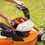 Thumbnail: STIHL RMA 443-C BATTERY PUSH MOWER SKIN - AP SYSTEM