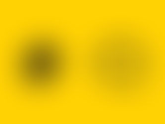 Resumo do livro "Essencialismo"