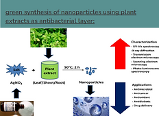 Screenshot 2024-08-09 162832.png