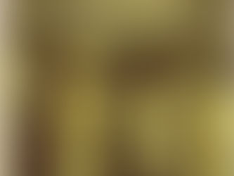 In the Skin of a Lion