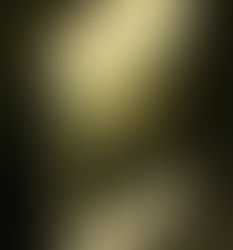 The Moved Heart - The Cat's Table