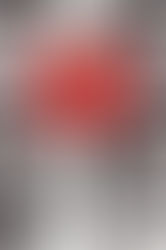 This Is the End, My Only Friend