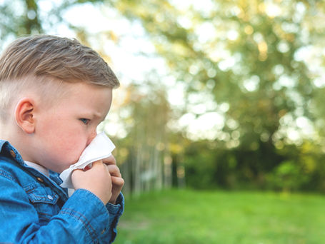 Hay fever: What to know & how to treat it