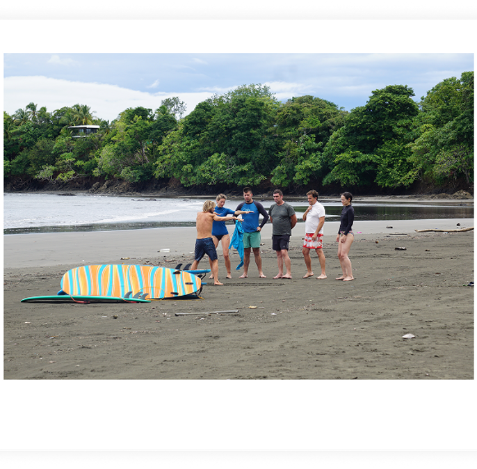 avistamiento ballenas panama