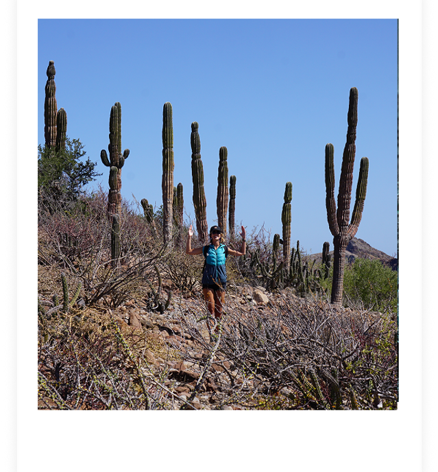 aprendiendo a hacer surf en panama