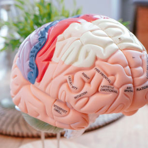 La Psicoterapia Integrativa: Un enfoque terapéutico integral para la mente humana