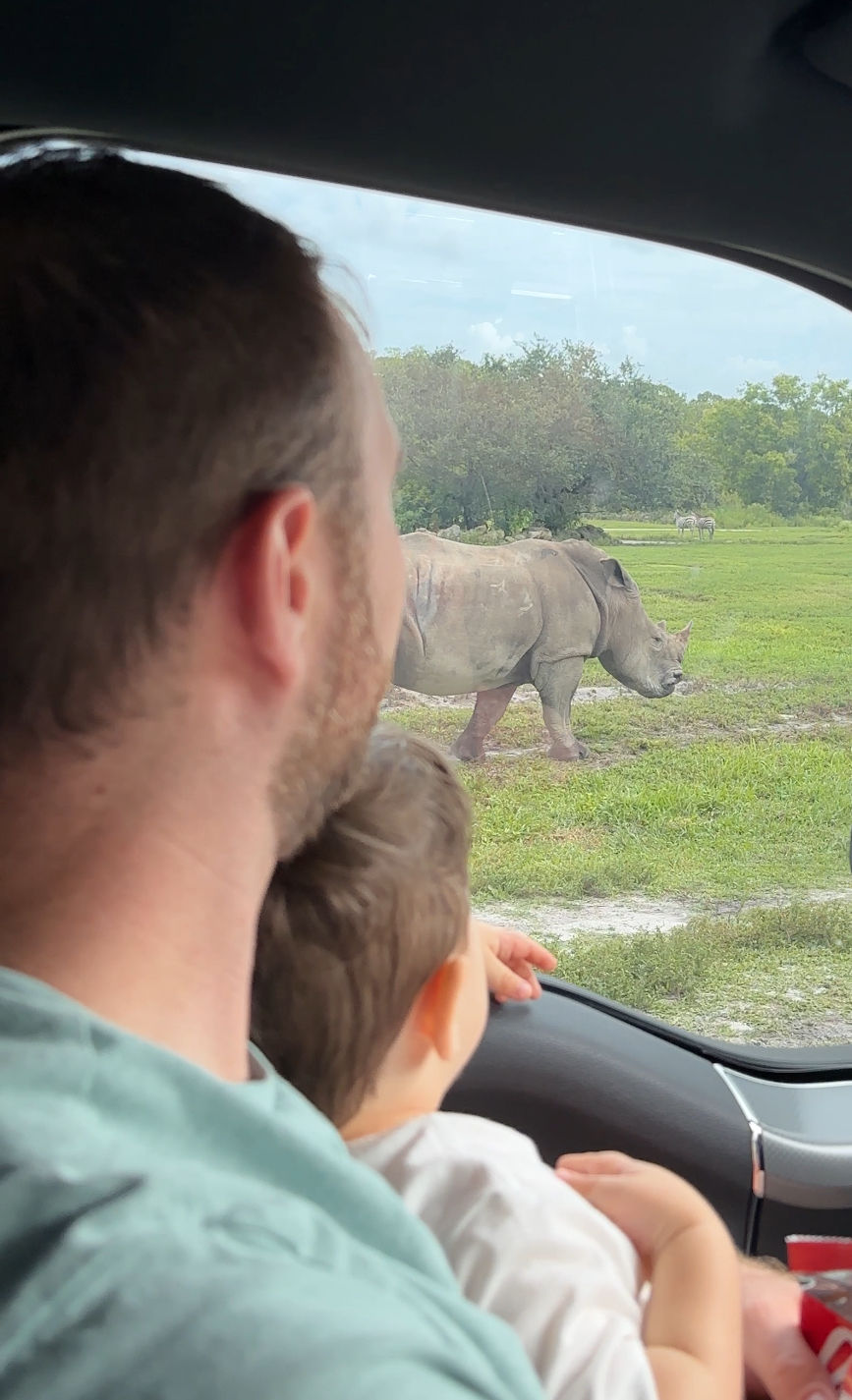 Watching the Rhinos through our vehicle at Lion Country Safari