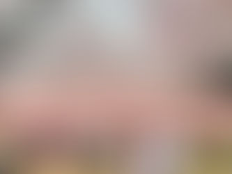 Washington, DC with a Toddler While Pregnant: Relaxing Things to Do + Where to Stay