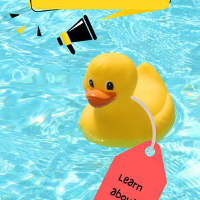 Everything You Need to Know About Cruising Ducks (and How to Join the Fun!)