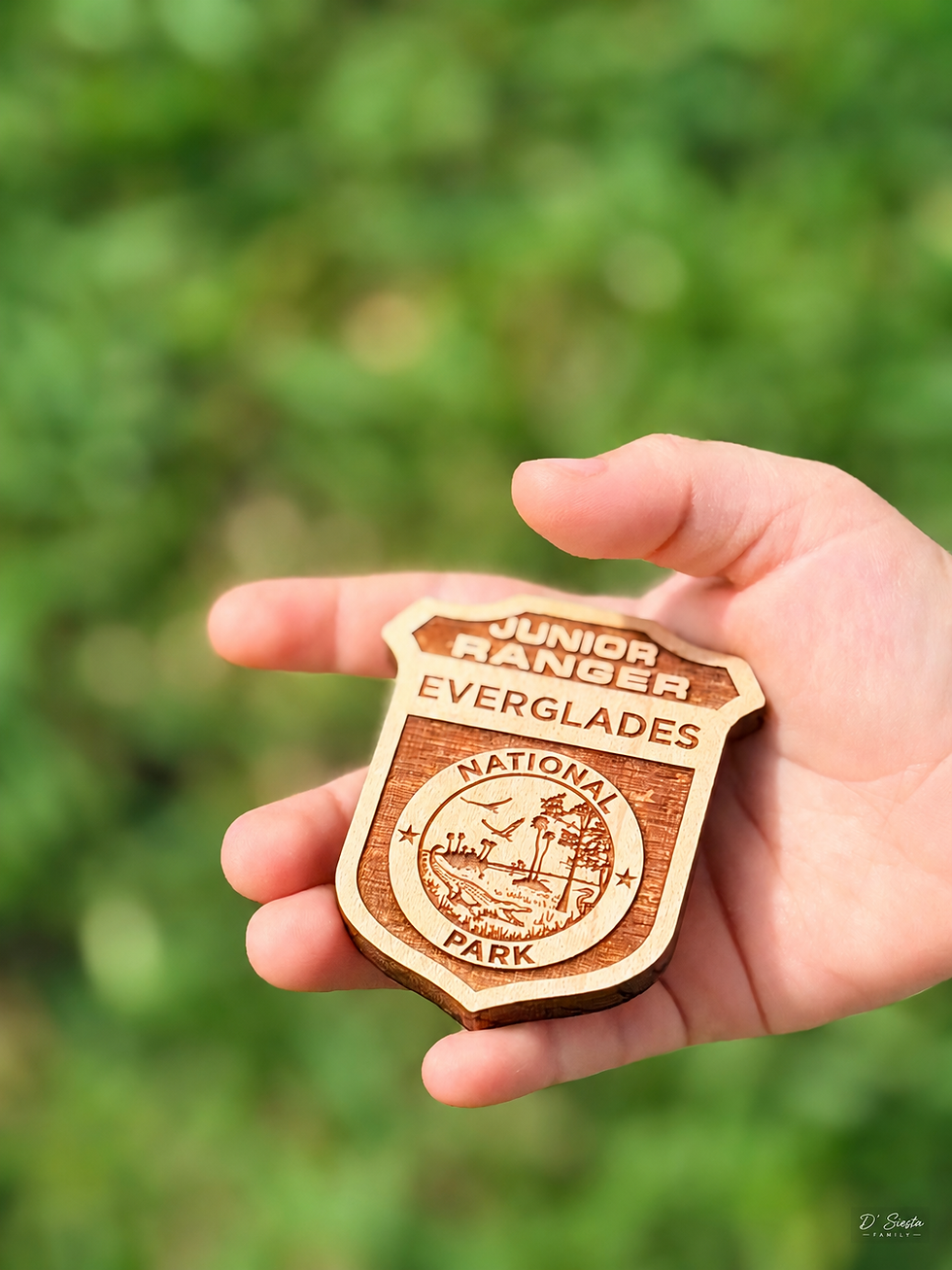 Hand holding a wooden Junior Ranger Everglades National Park badge against a blurred green background.