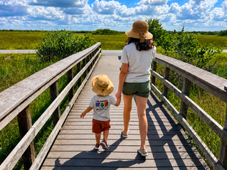 Shark Valley with Kids: Junior Ranger Badge, Wildlife & Family Tips