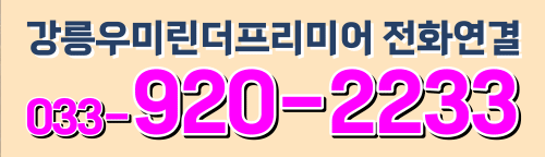 강릉우미린 더프리미어 19