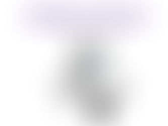 Informe de preocupacionales