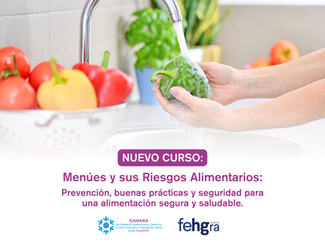 Curso: Menúes y sus Riesgos Alimentarios. 