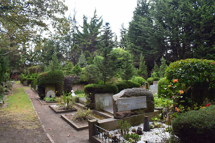 DSC_1464.JPG