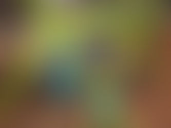 REJUVENATION: Joseph Burr Tyrrell Park