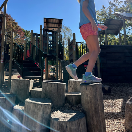 Charles G. Williams Park