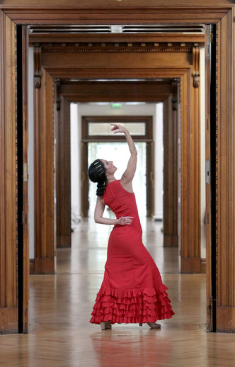 no fee 1 dublin flamenco festival-1.jpeg