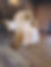 be4efc58-3547-41a4-a0f5-f98df54f4ca9.JPG