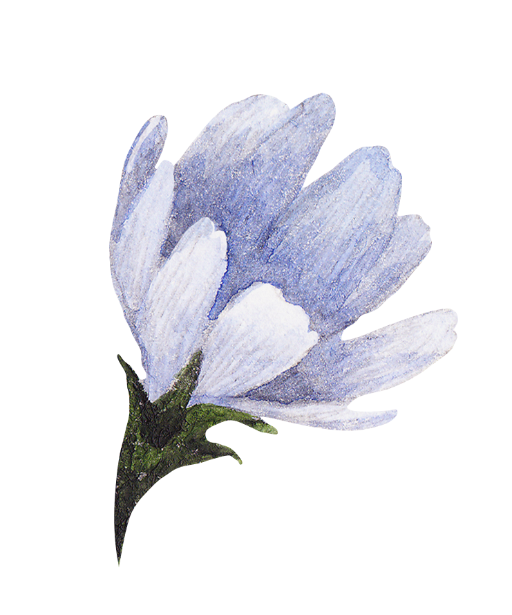 Ilustración de flor azul