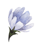 ブルーの花