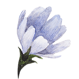 ブルーの花