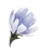 Blue Flower