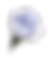 藍花