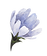 Blue Flower