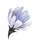 Blue Flower