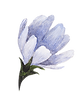 Blue Flower