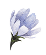 Юля