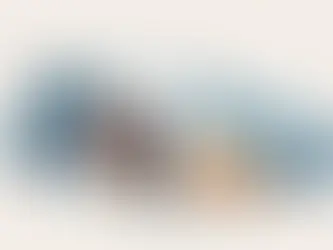 Πτωχευτικός νόμος 4738: τι προβλέπει