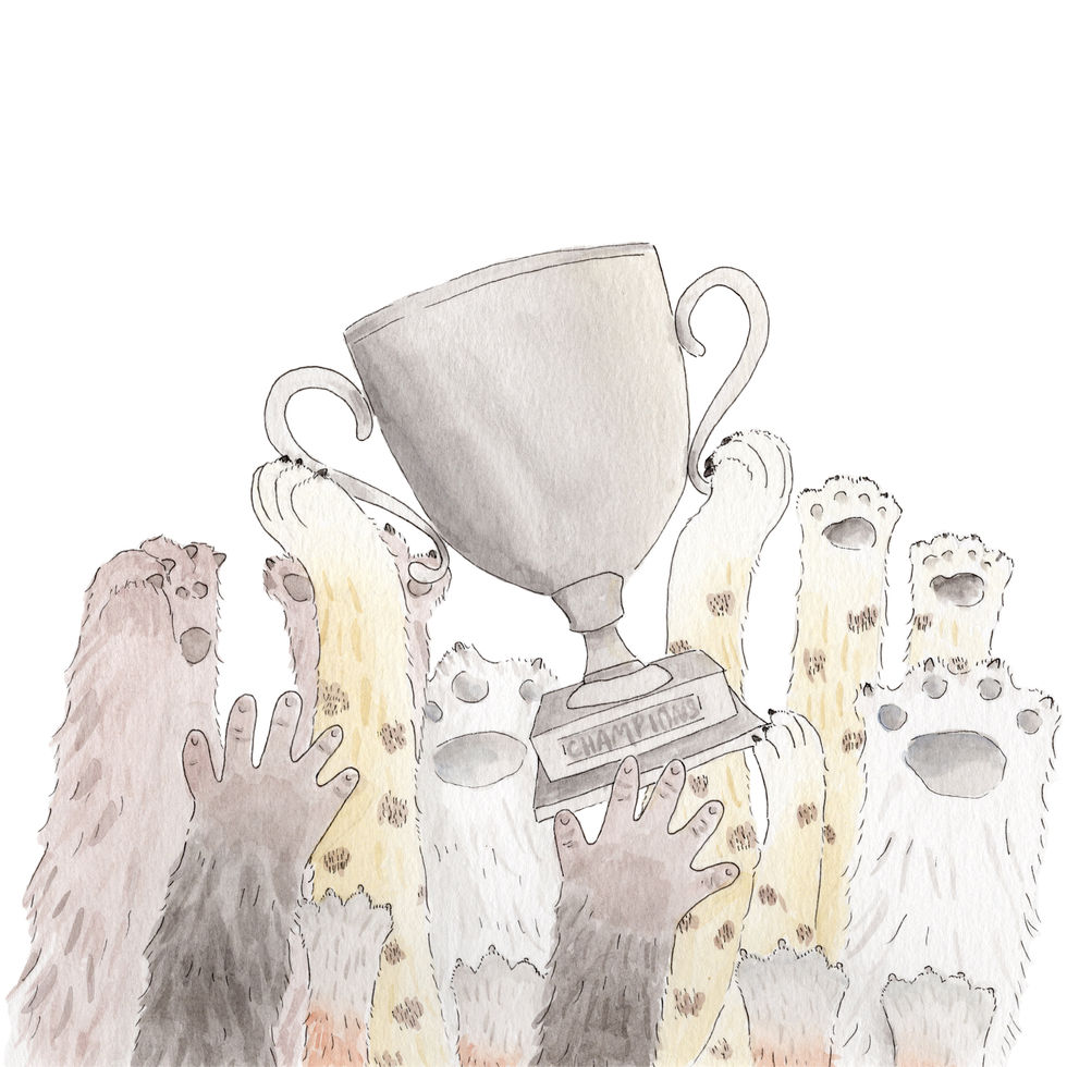 watercolor illustration, soccer art, childrens book illustration, kid lit, watercolor artist