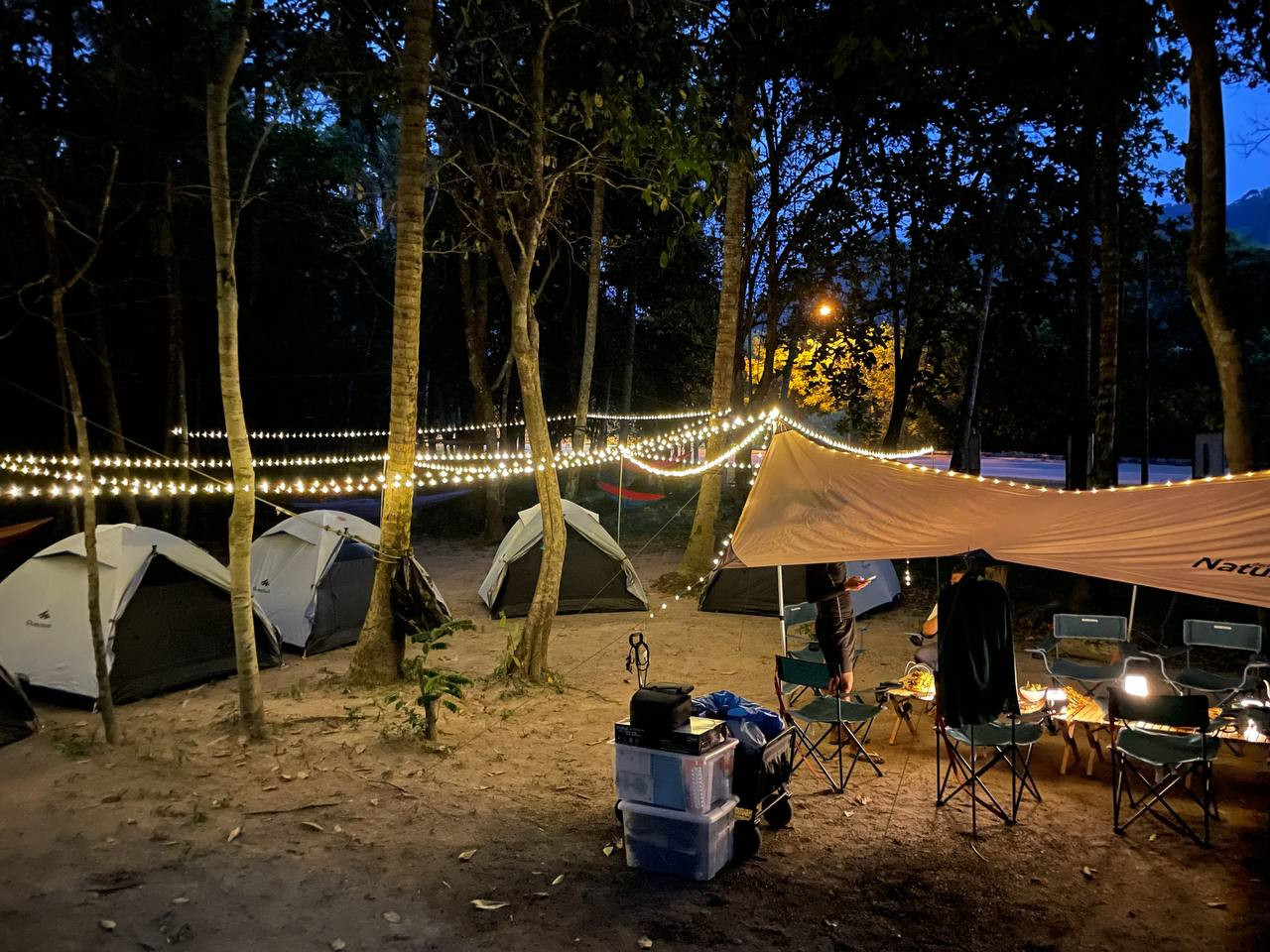 Skycamp New Skytrex Adventure