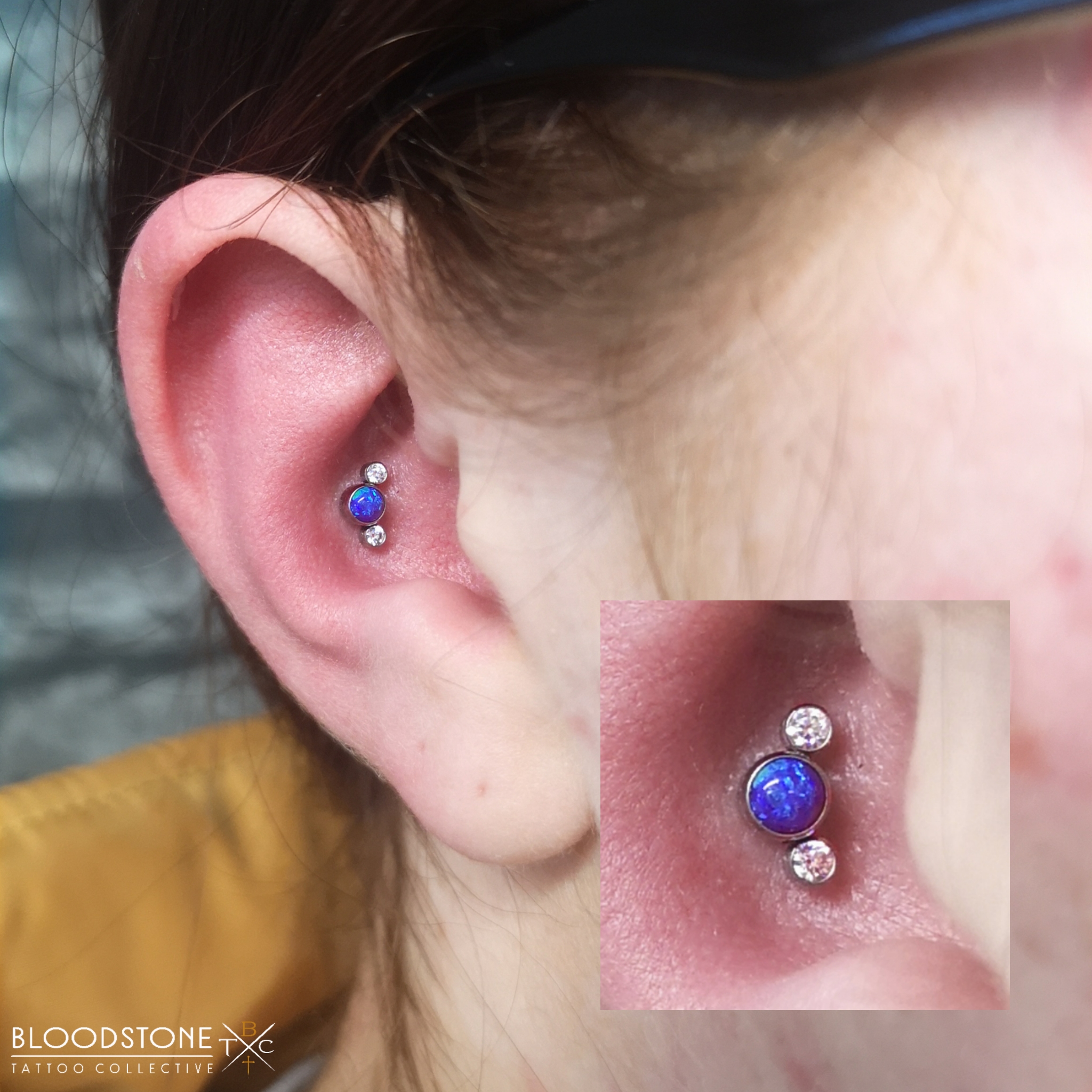 Conch with trio Cluster