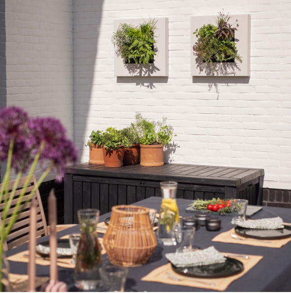 Thumbnail: LivePicture GO - Natural Bamboo