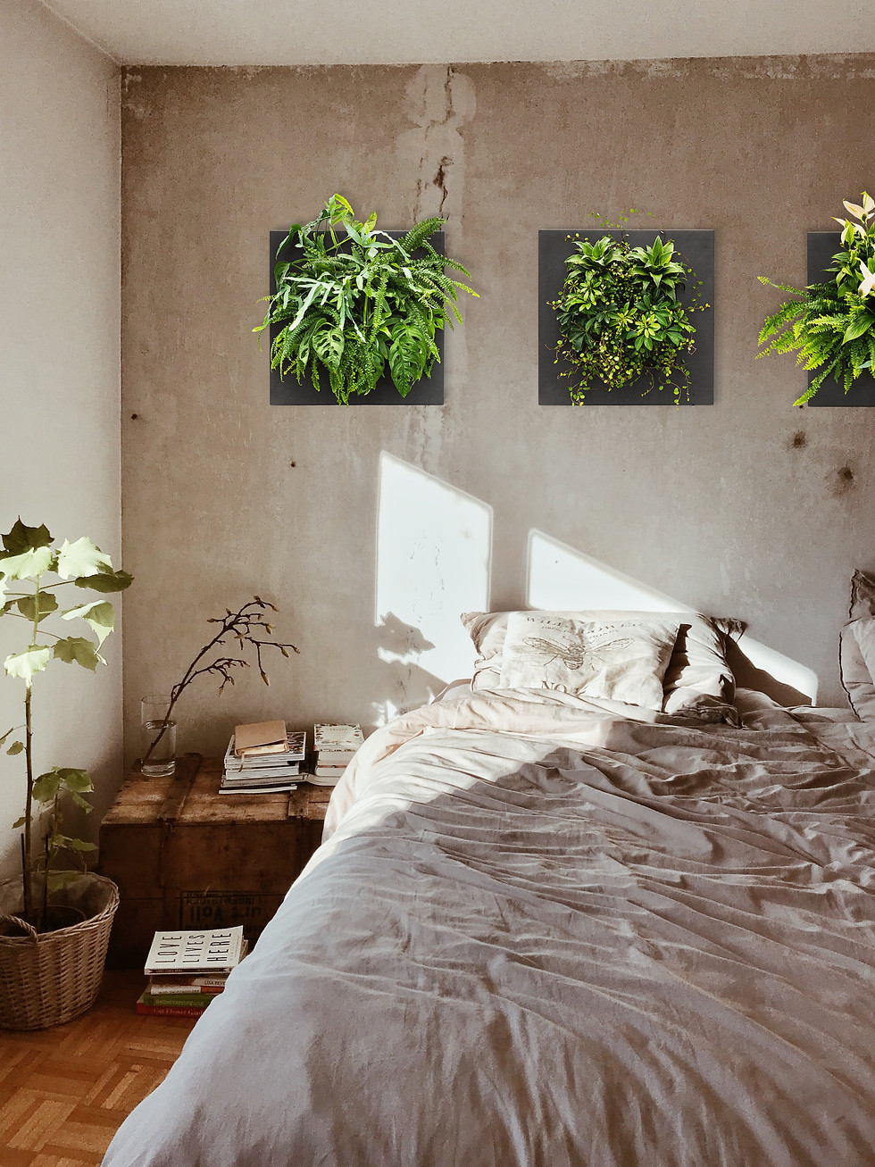 Thumbnail: LivePicture GO - Black Bamboo