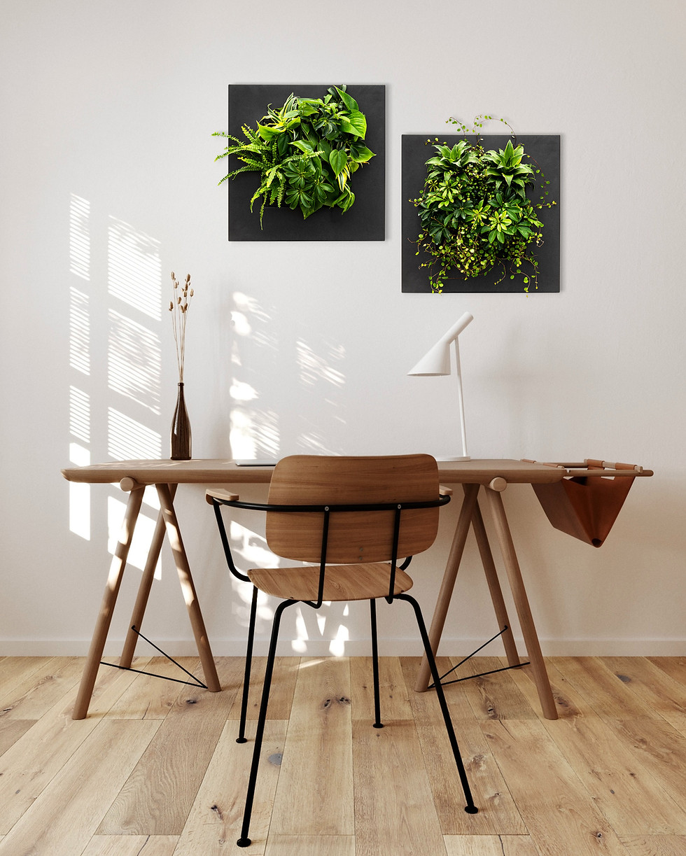 Thumbnail: LivePicture GO - Black Bamboo