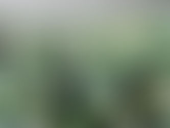Projetando O Verde