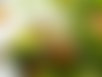 Simple Salad Dressing Recipe